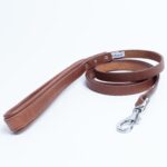 Dallas Leash