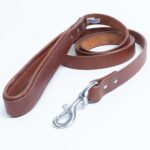 Dallas Leash