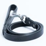 Dallas Leash
