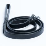 Dallas Leash