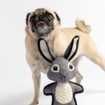 Rabbit & Moose Dog Toys 2 Pack