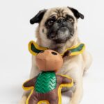 Rabbit & Moose Dog Toys 2 Pack