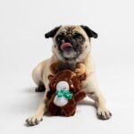 Rudolf The Reindeer- Dog Toy