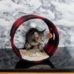 Armarkat B1601 Real Wood Cat Hideaway Tunnel, Scotch Plaid